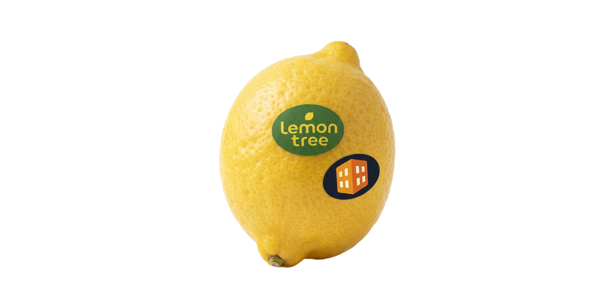 Lemon Tree ja Tulosnurkka yhdistyvät