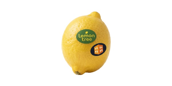Lemon Tree ja Tulosnurkka yhdistyvät